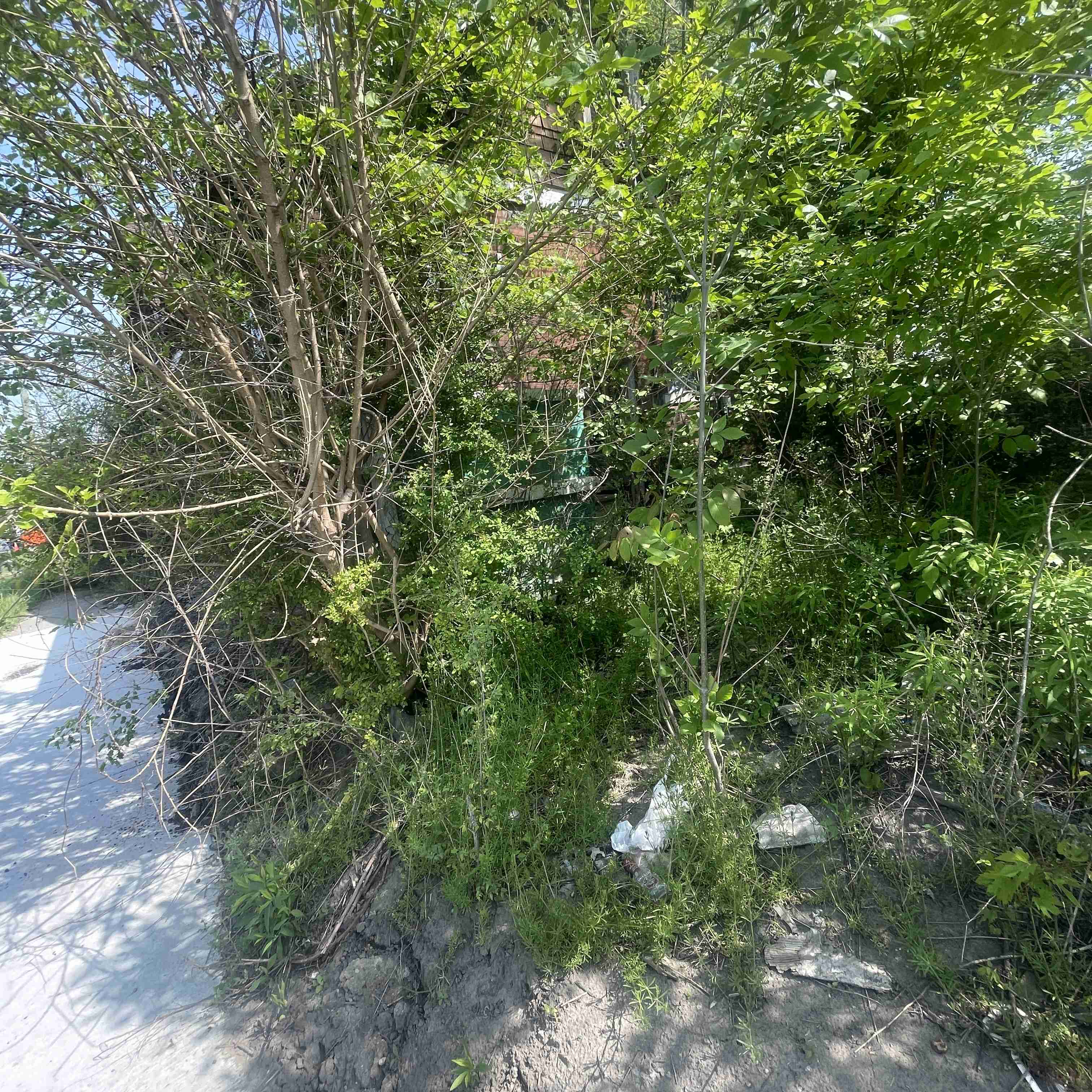 5605 S Martindale (16).jpg